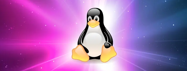 LinuxӖ(xn)C(j)(gu)ļҺ