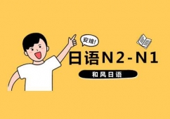 ZN2-N1