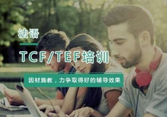 ZTCF/TEF