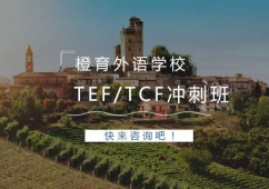 TEF/TCF_̰