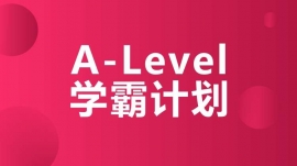 ɶpA-LevelW(xu)Ӌ