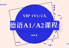 ɶZ(y)VIP A1/A2nӖ(xn)