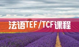 ϺZTEF/TCFn--Zn