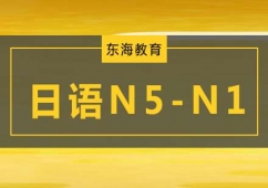 ZN5-N1߼nӖ(xn)