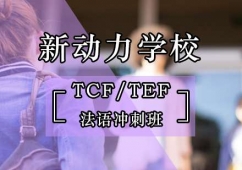 TCF/TEFZ(y)_Ӗ(xn)