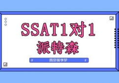 SSAT11Ӗ(xn)