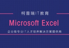 MicrosoftExcelЧ̄(w)(yng)Ӗ