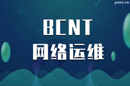 ̶BCNTW(wng)j(lu)\(yn)S(zhun)I(y)nӖ(xn)