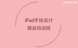 iPadLO(sh)Ӌ(j)ƷӖ(xn)