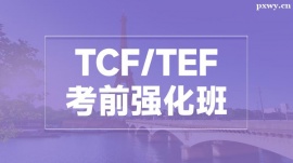 TCF/TEFǰ(qing)